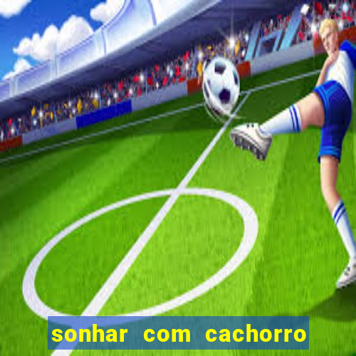 sonhar com cachorro cruzando jogo do bicho